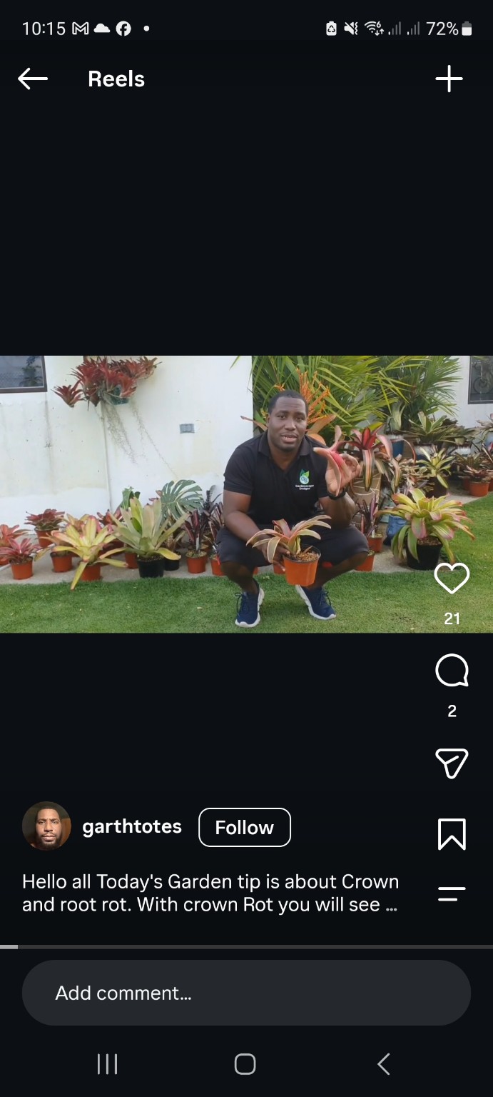 Jason Etter of Gardenscape Designs